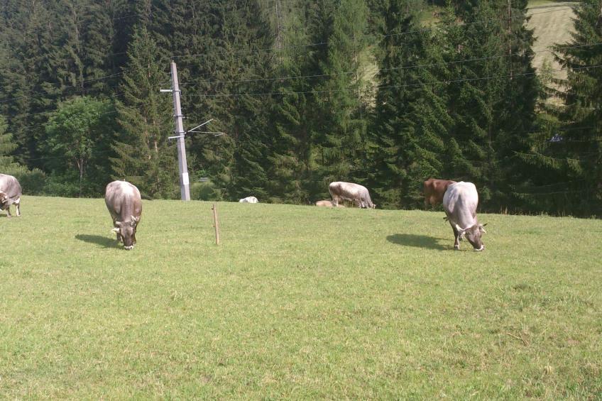 in Strassen mit Privatem Pool - foto 34