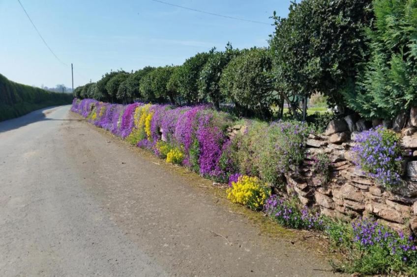 Shrawardine Train Carriage - foto 33