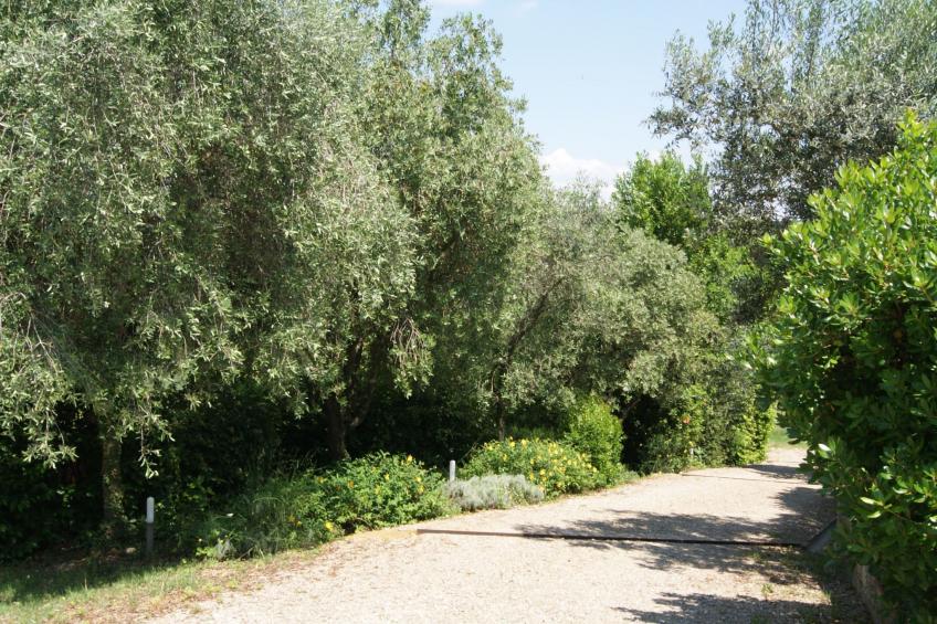 Wohnung mit Privatparkplatz und schöner Aussicht - foto 34