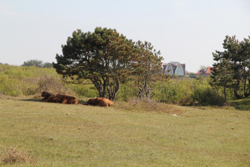 Zoomers aan Zee II - foto 16