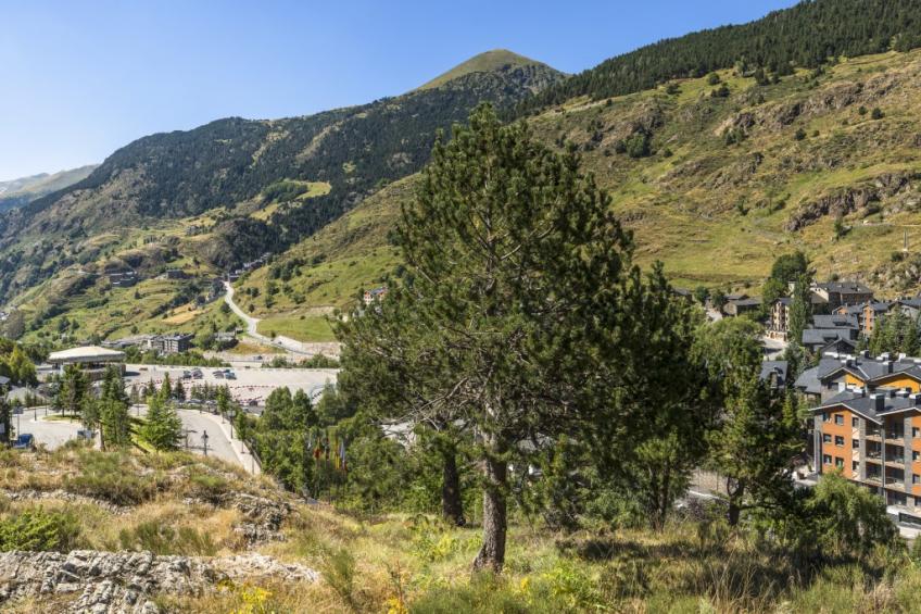 Andorra El Tarter 3p 6p Standard - foto 19