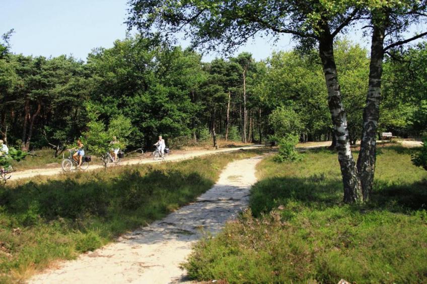 't Kokhuus - foto 28