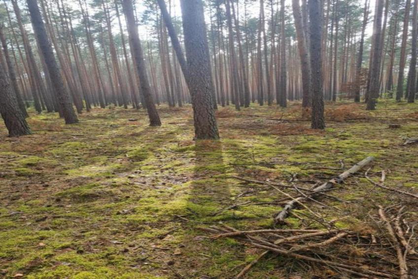 Holiday home Jedrek - foto 26