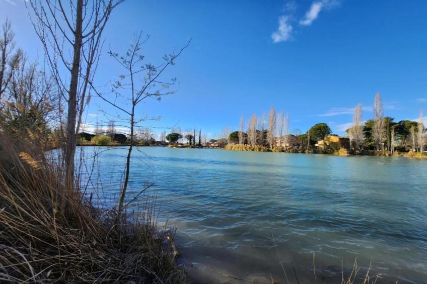 Le village Camarguais Les Gardians - foto 21