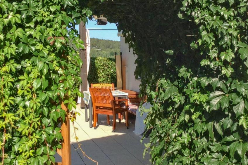 Böhmerwaldnest - foto 43