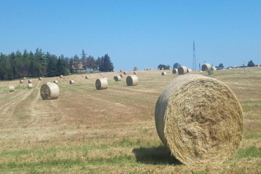 Appartamento Aurora - foto 29