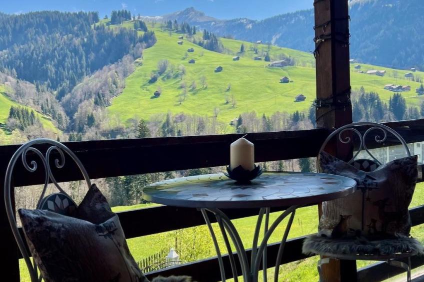 Engel Ingold Lodge Chalet Bärgblümli - foto 18