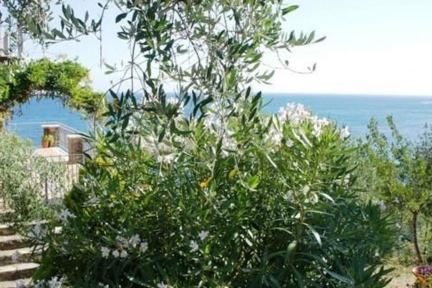 Wohnen in Traumhafter, ruhiger Lage am Meer - foto 29