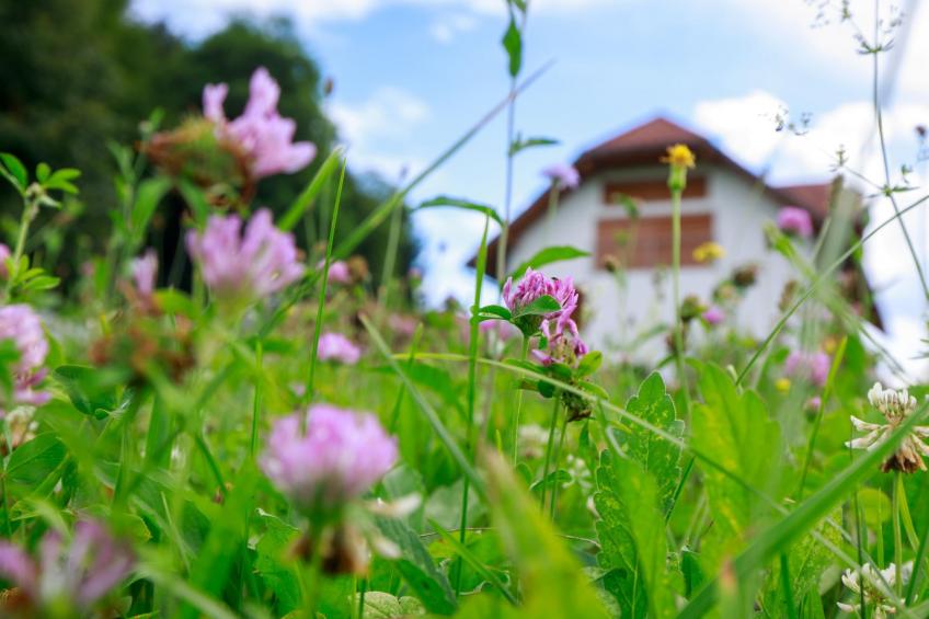 VILLA KATARINA - foto 6