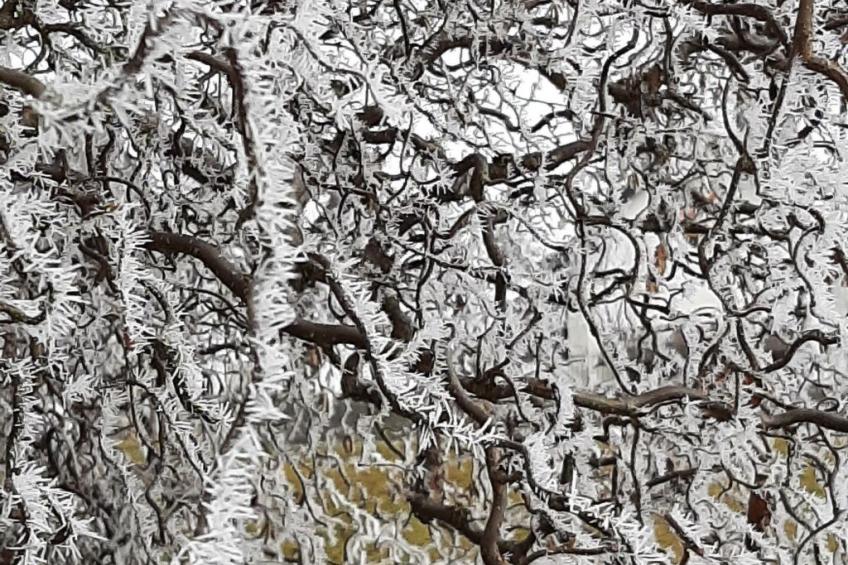 Kirchmatte - foto 14