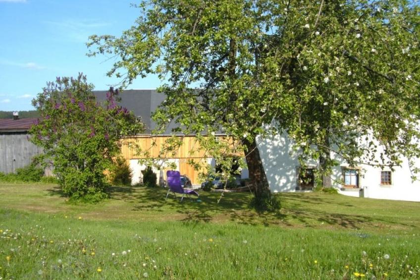 127963 - foto 3