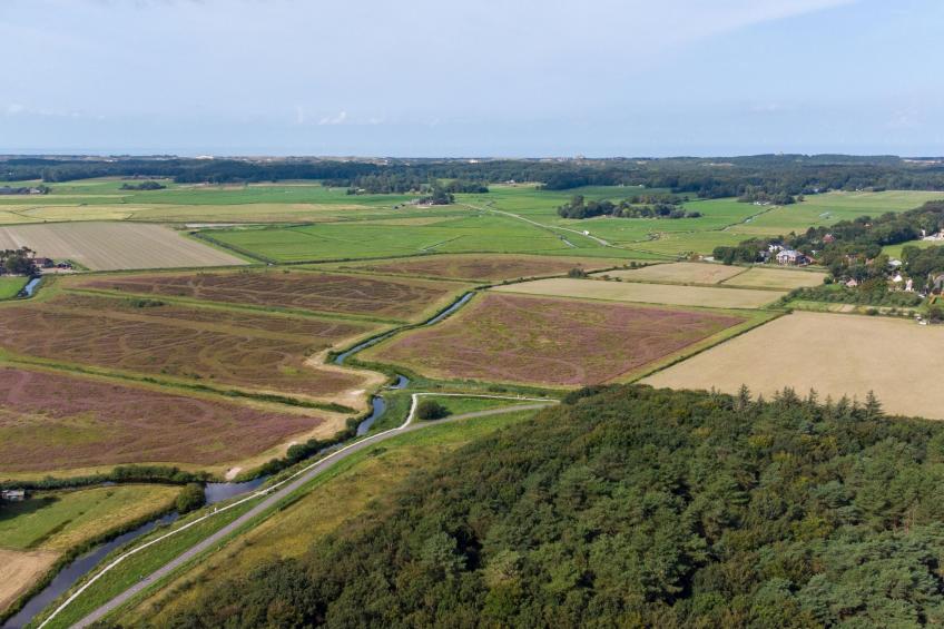 Bergens Roodborstje - foto 40