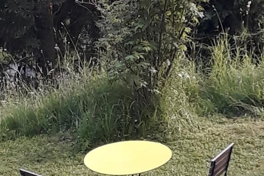 Parterre Wohnung - foto 11