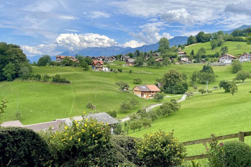 Panoramaferienwohnung Waldkircher Appartement/Fewo - foto 38