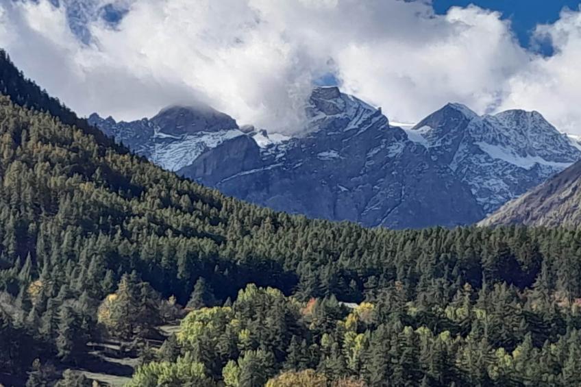 Résidence Marmottant - foto 31