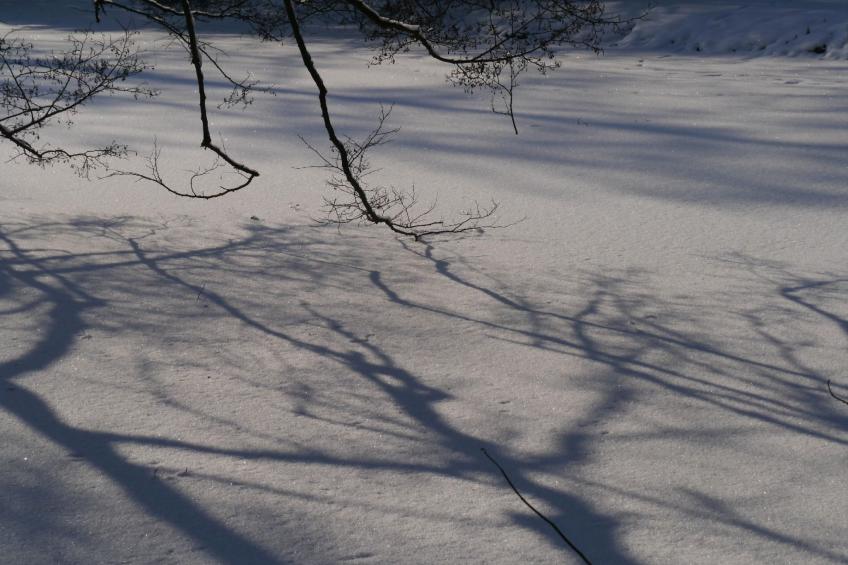 FeWo Siebert - foto 28