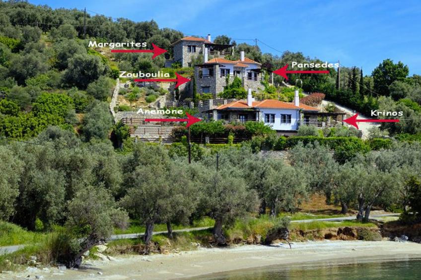 Anthyllion Villa Pelion mit Meerblick Anemone - foto 2