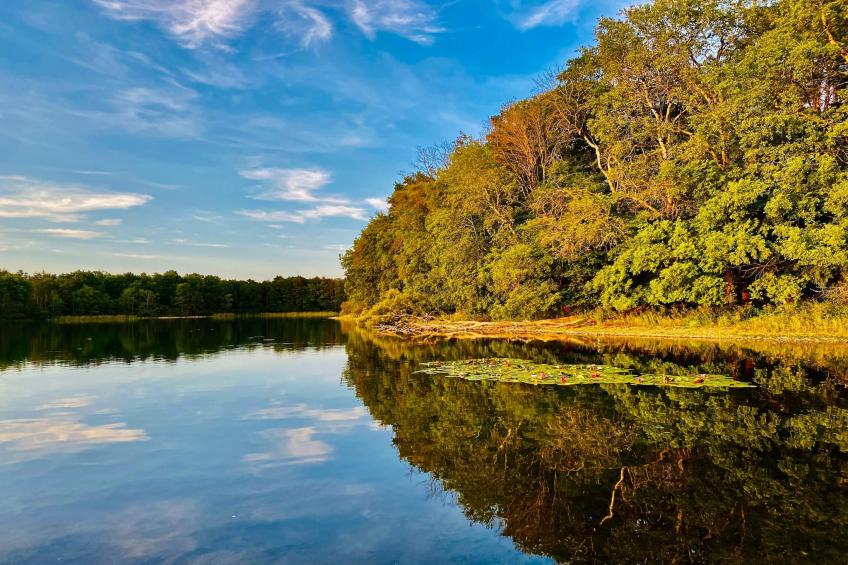 Wheelchair accessible Double Room - foto 36