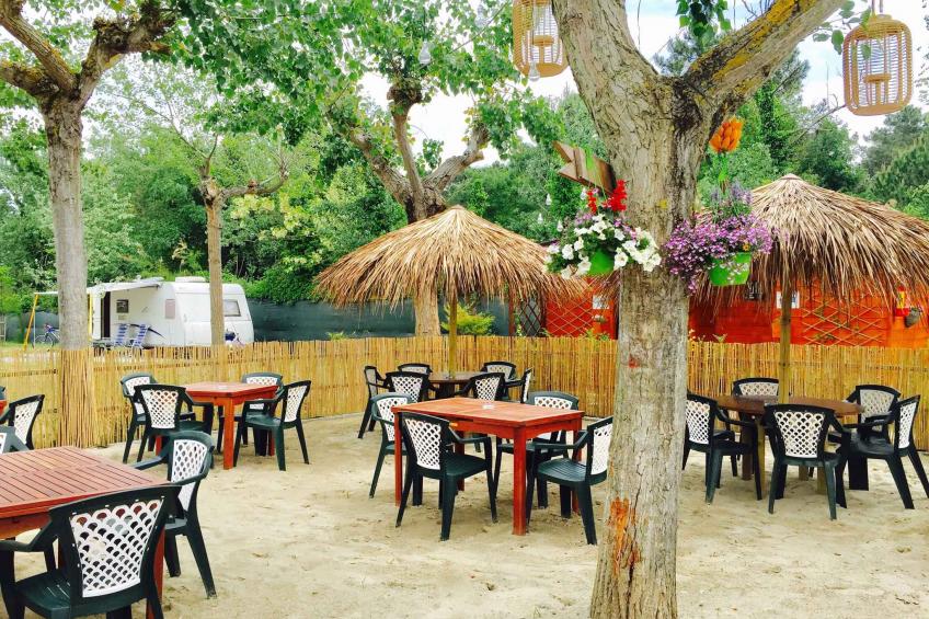 Holiday house on campsite in the pine forest - BF-NX2CW - foto 6