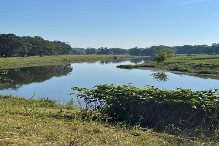 Apartment Eilenburg - foto 28