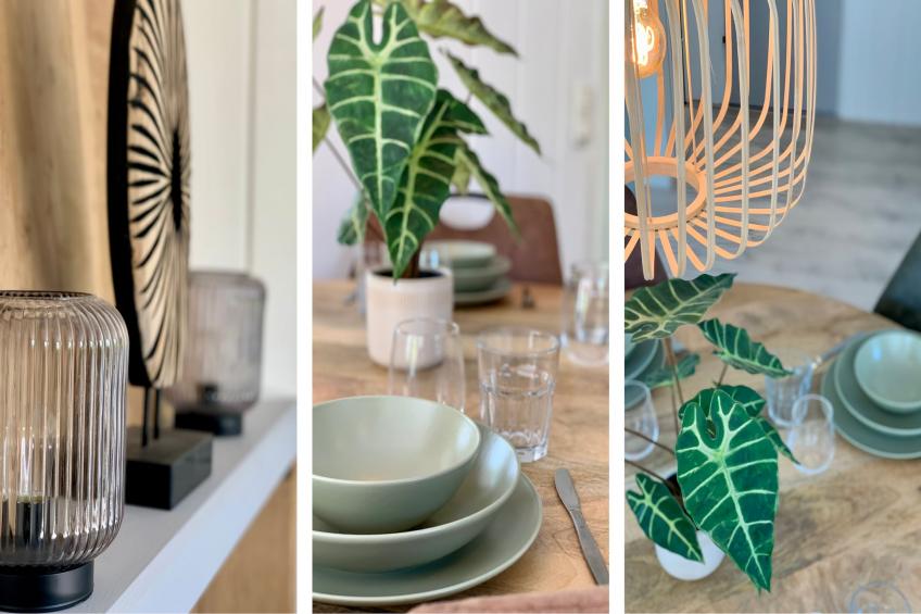 Campanula 211 - foto 16