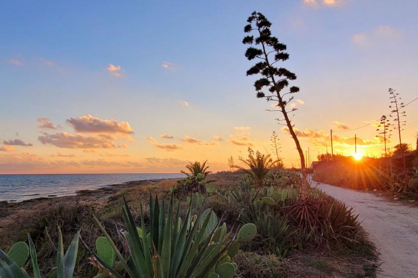 Villa Matilde: Kleine Ferienwohnung mit Meerblick - foto 36
