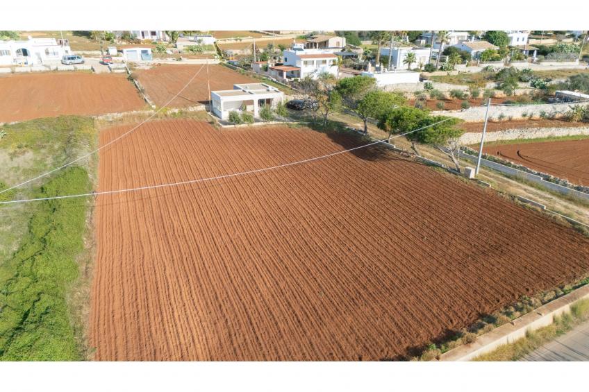 La Conchiglia di Torre Vado With Sea View - foto 19