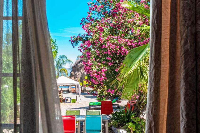 Tortuga - Nido Aguila Blanca - foto 12