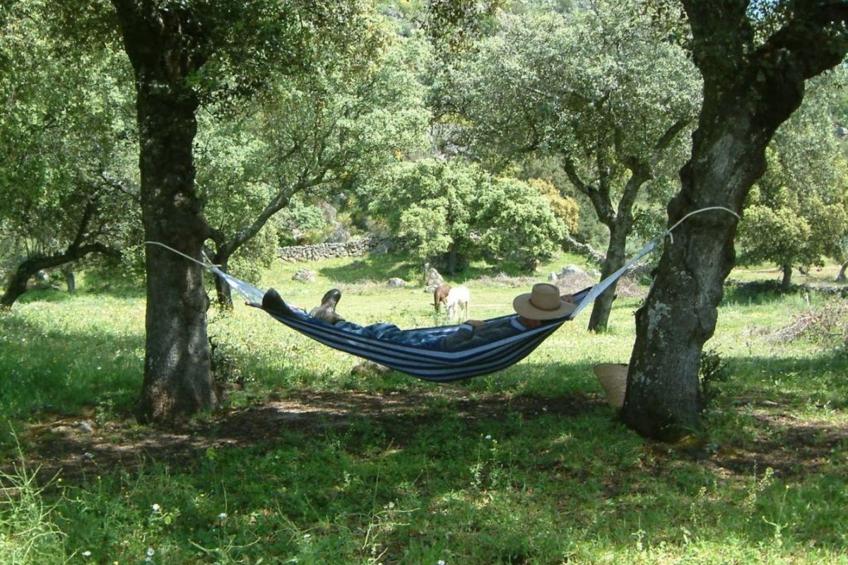 The Barn at Finca al-manzil - foto 17