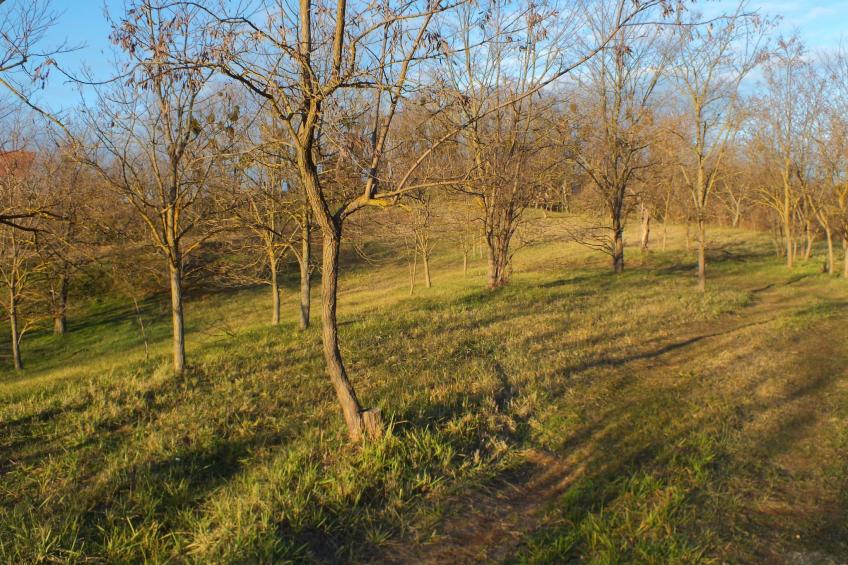 Müllers Ferienhaus Weinbergalm zum Wohlfühlen - foto 9