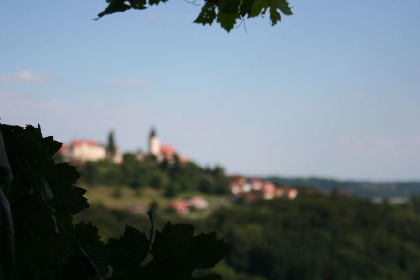 Rebenchalet - foto 6