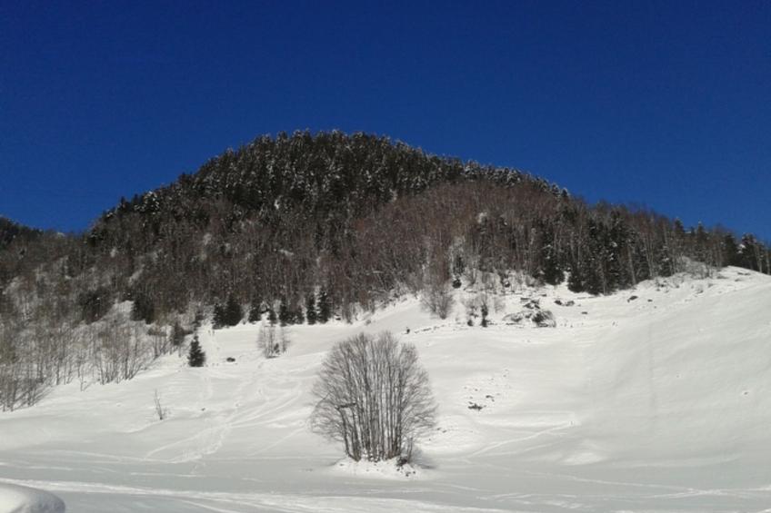 La Sclarida Kissling, (Segnas/Disentis), 1630 - foto 19