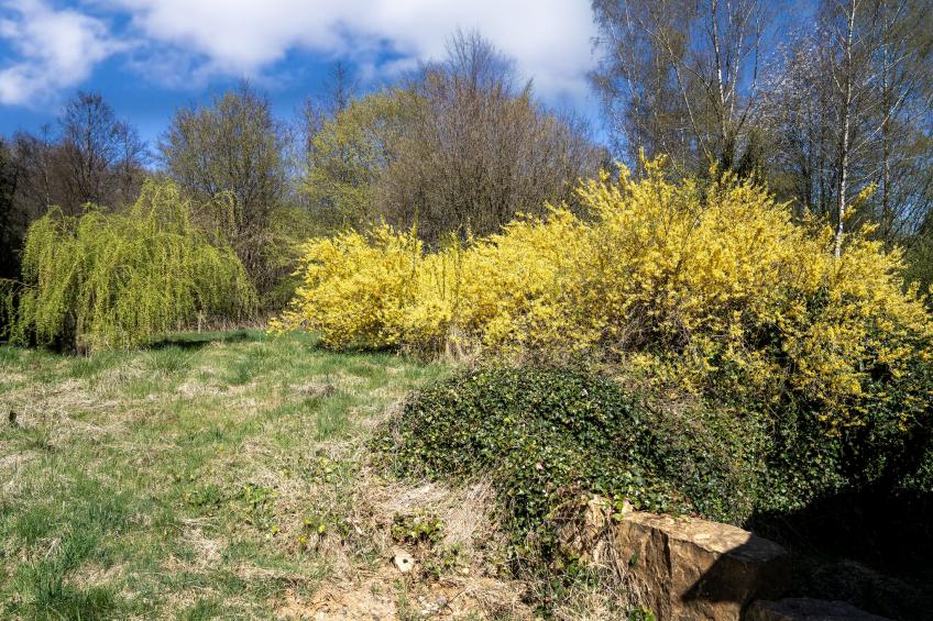 Le Castelain - foto 25