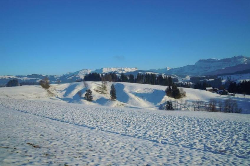 Fischbachboden - foto 3