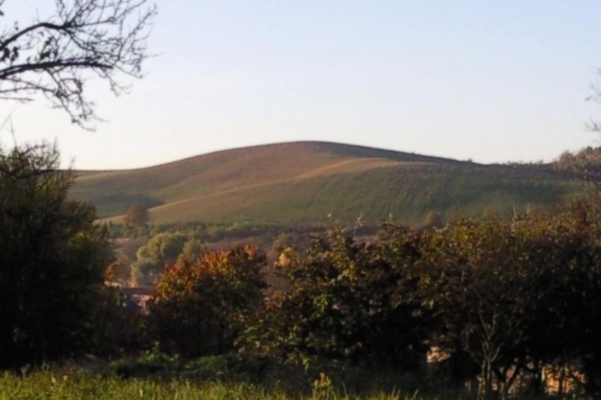 mit biologischem Schwimmteich - foto 20