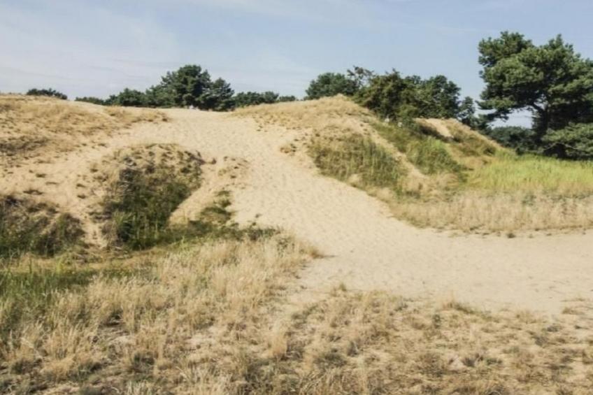 in Altwarp mit Botanischem Garten - foto 26