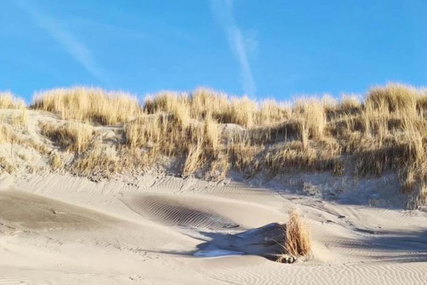 Strandpark Vlugtenburg 14 - foto 37