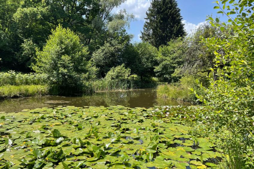 für 6 Pers. mit eigenem Teich - foto 26