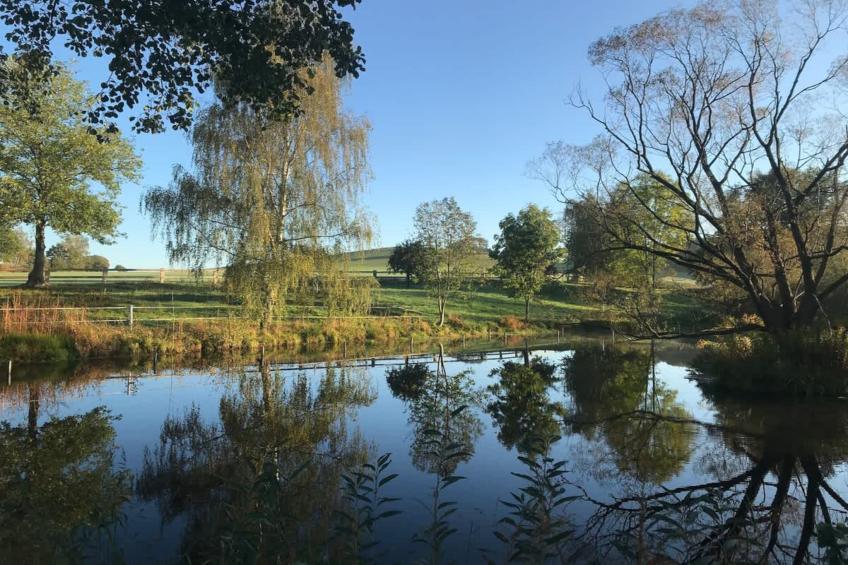 TH1 4P+20€(5) Immer - foto 13