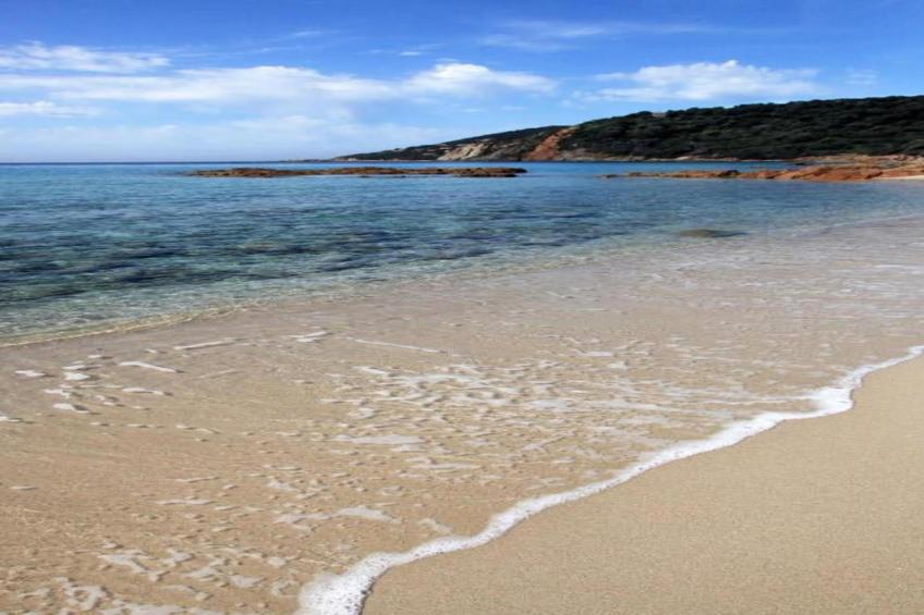 Les Nereides - foto 37