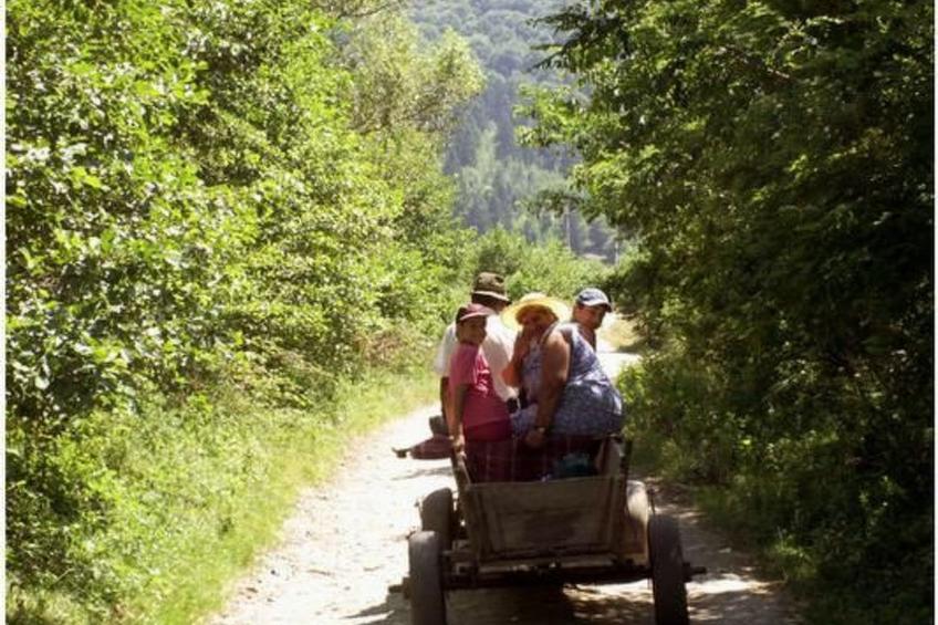 Casa Crina in Karpaten-Dorf in Siebenbürgen - foto 71