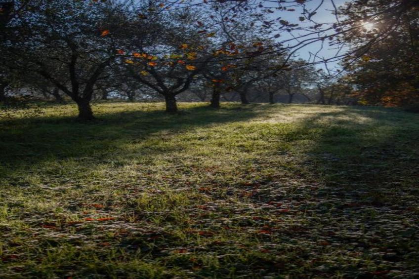 San Michele - foto 40