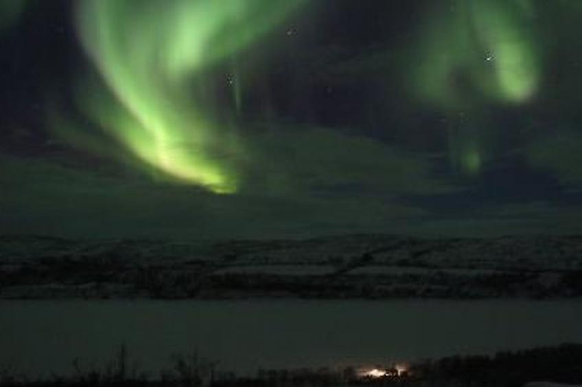 Karetörmä - foto 4