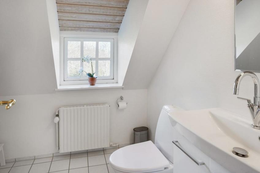 "Gertrudis" - 2km to the inlet in NW Jutland - foto 5