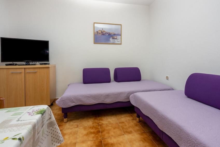 Agava veliki / HR-11139-02 - foto 6