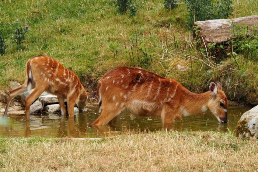 Apartament Nemojov A - foto 27