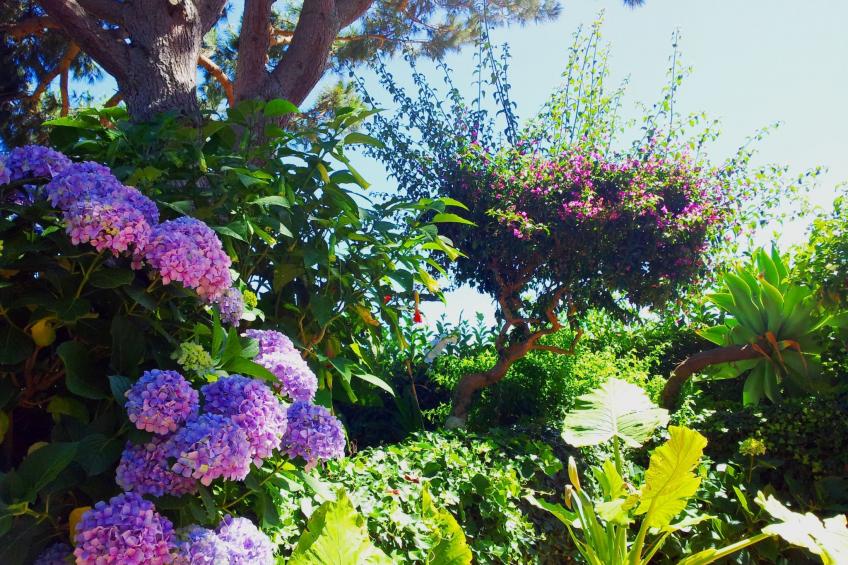 La Terrazza - foto 13