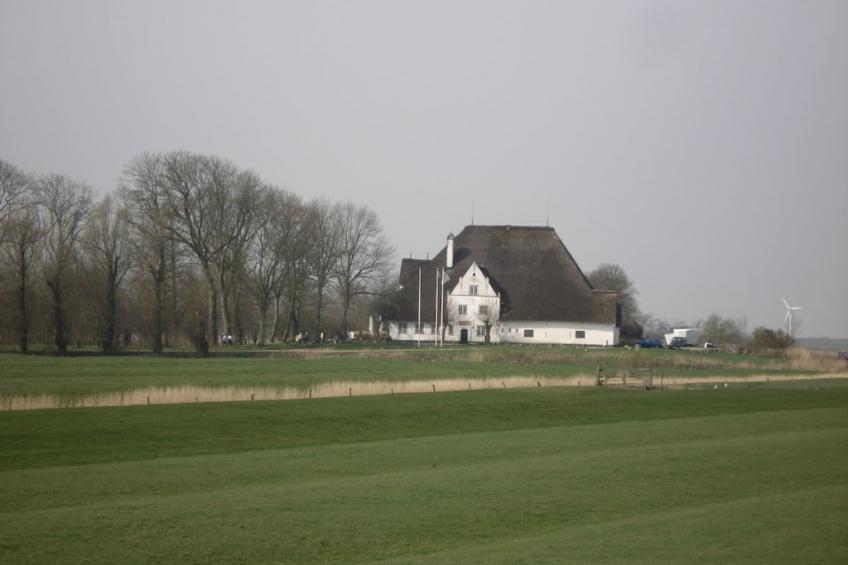 51144 - foto 18