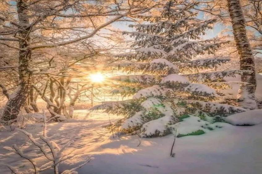 OURSONS 4 N°30 - 2P6 - foto 22