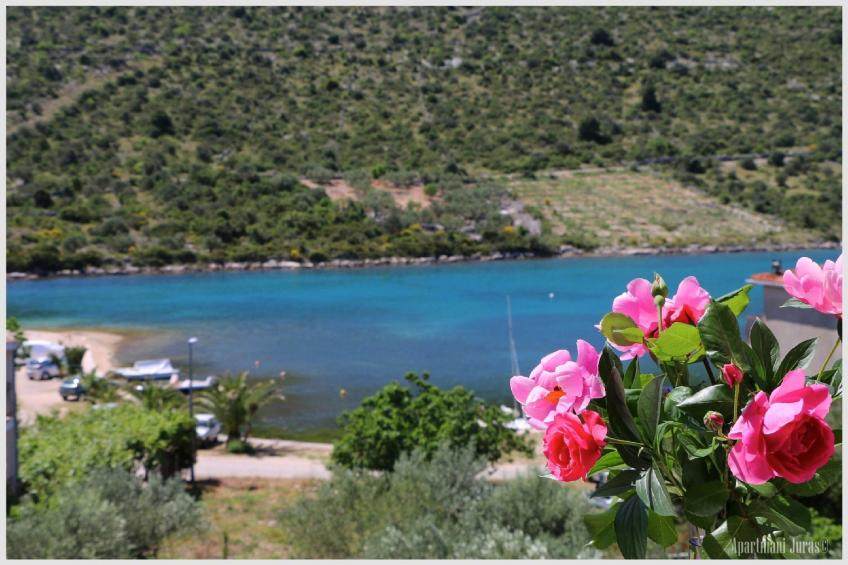 Apartments Juras - Studio Apartment with Sea View (Mia) - foto 10